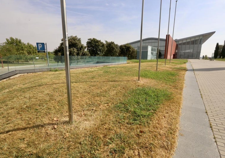 Alertan de la presencia de un exhibicionista en las inmediaciones del Centro Cultural Miguel Delibes